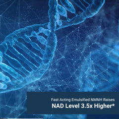 Naturalis NMNH nano-emulsion technology visualization—advanced absorption concept.