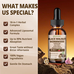 Nature Aurora daytime defense phase image shows pumpkin seeds and berberine.