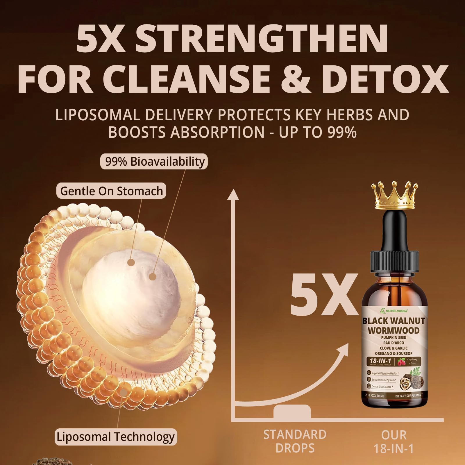 Nature Aurora morning detox phase image signals start of daily routine.