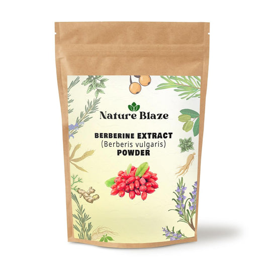 Nature Blaze berberine powder jar closeup highlighting pure botanicals and quality