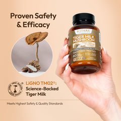 Nature Captured Tiger Milk Mushroom cognitive visual suggesting memory and focus support.