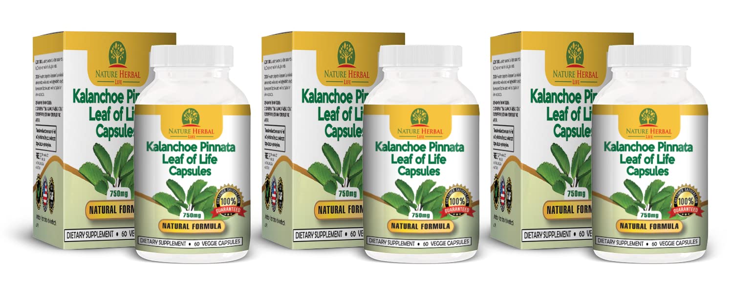 Nature Herbal Life bottle-front showing Kalanchoe Pinnata capsules for daily wellness