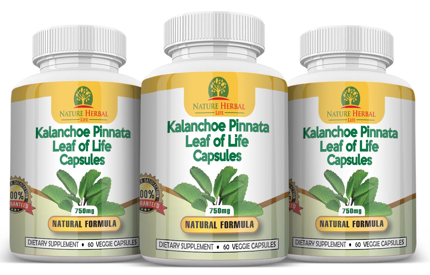 Nature Herbal Life capsules close-up highlights plant-based detox benefits