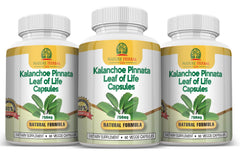 Nature Herbal Life capsules close-up highlights plant-based detox benefits