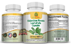 Nature Herbal Life packaging box features Leaf of Life vegetarian formula