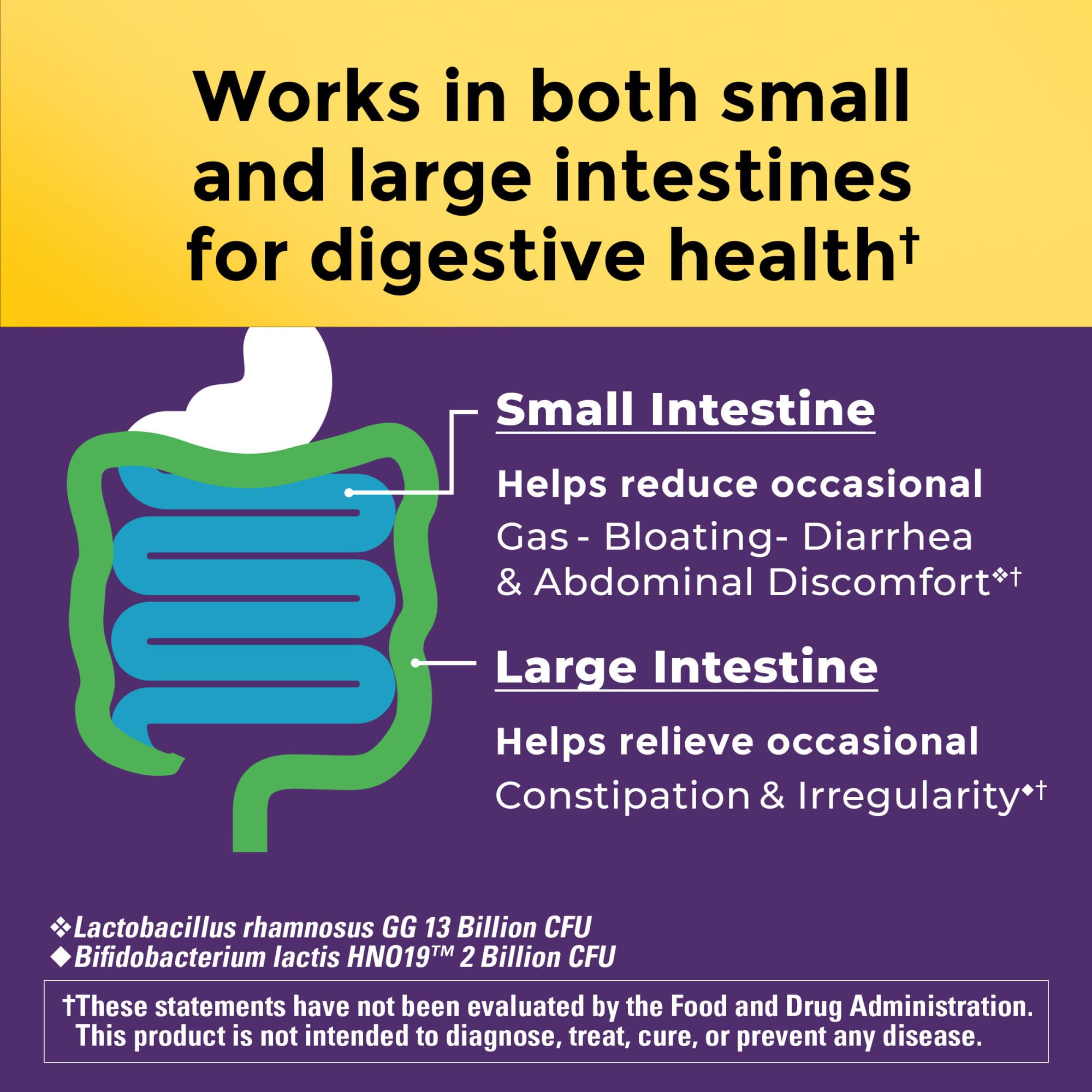 Nature Made probiotics bottle packaging designed for daily digestive support