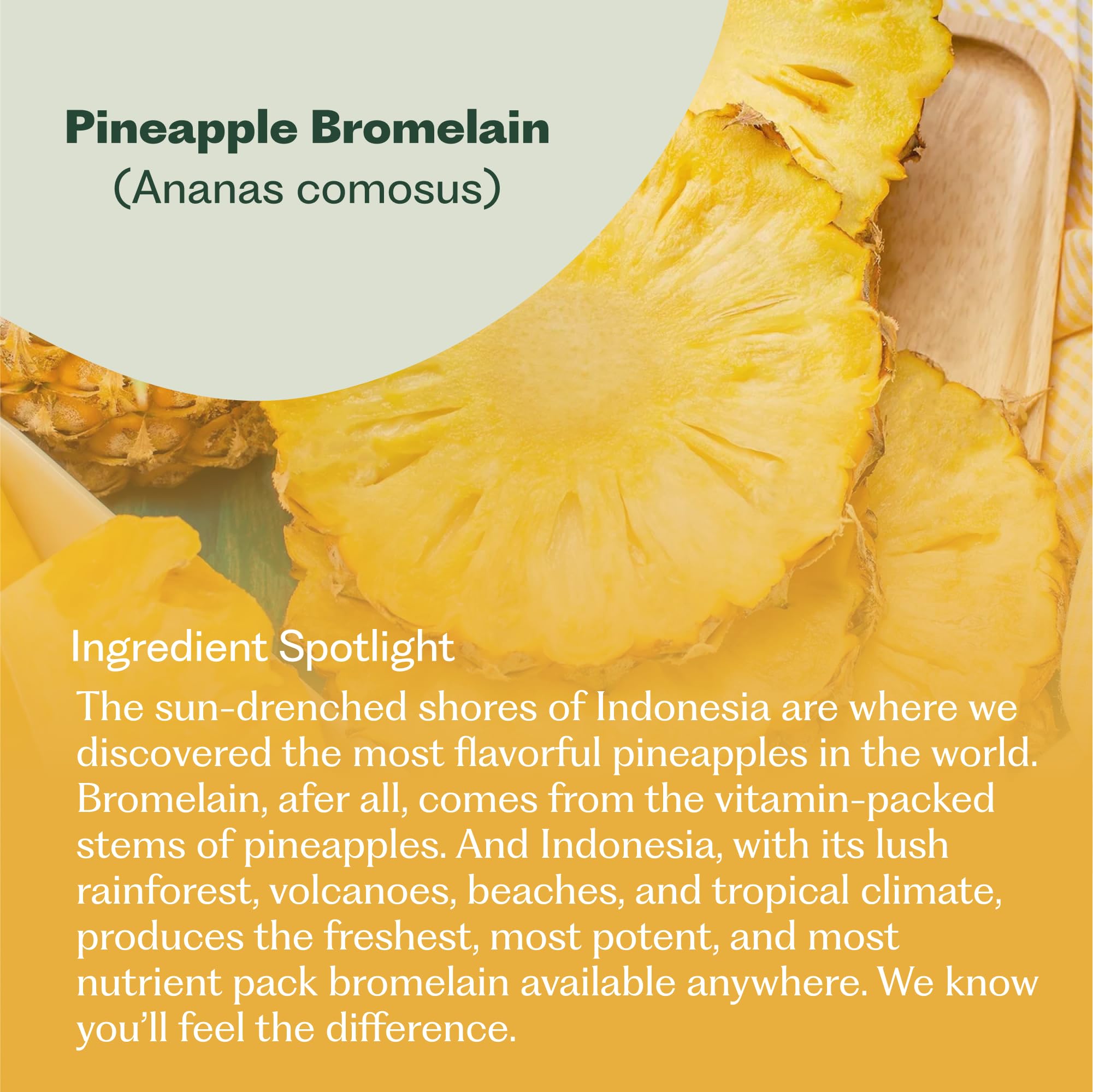 Nature M.D. Enzyme 365 Indonesian bromelain icon highlighting potent pineapple-derived enzyme.