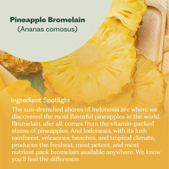 Nature M.D. Enzyme 365 Indonesian bromelain icon highlighting potent pineapple-derived enzyme.