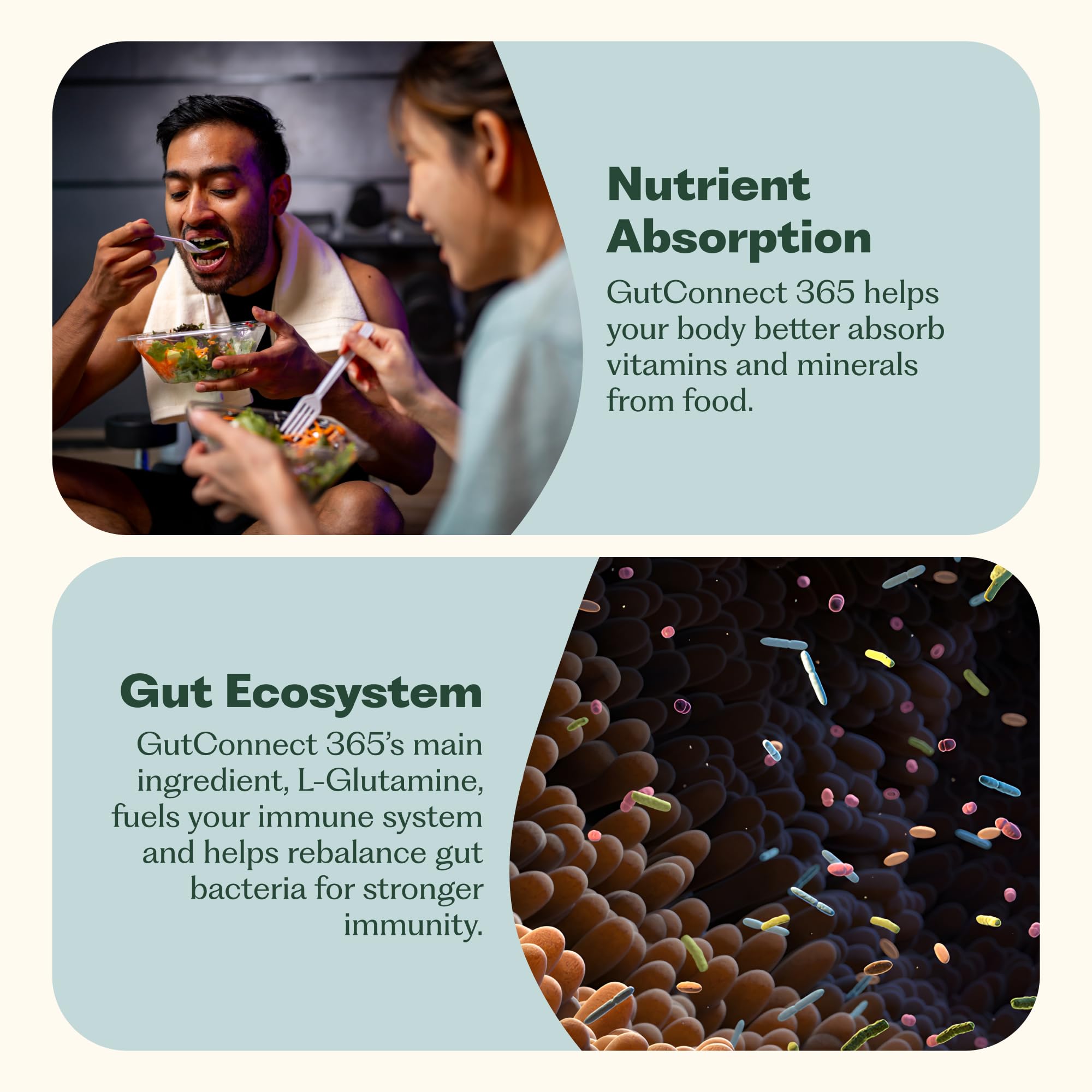 Nature M.D. GutConnect 365 chocolate coconut ingredient panel featuring L-Glutamine amount.