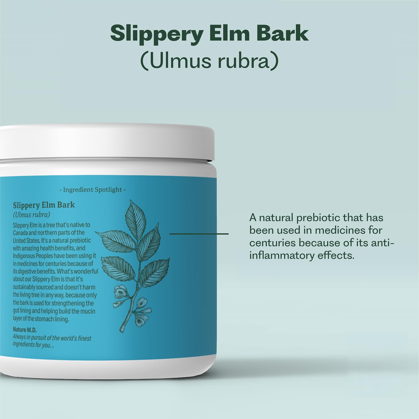 Nature M.D. GutConnect 365 ingredients bag, suggesting slippery elm and L-glutamine content.