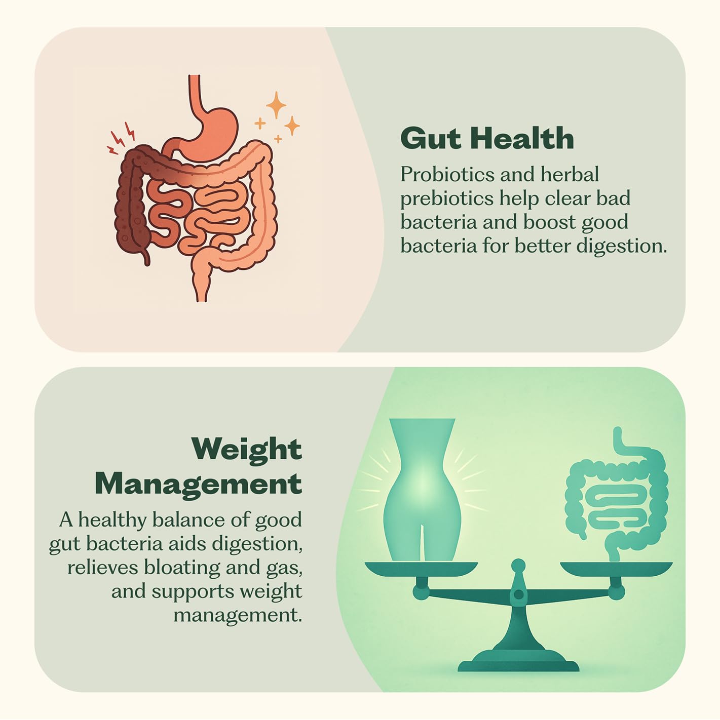 Nature M.D. Synbiotic 365 prebiotics visual highlighting fiber support