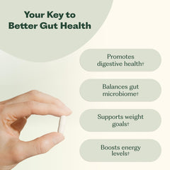 Nature M.D. Synbiotic 365 tablets closeup for gut balance