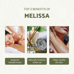 Nature Packaged Melissa essential oil diffuser scene with bright citrus aroma.