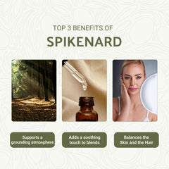 Nature Packaged spikenard oil diffuser setup for calming blends