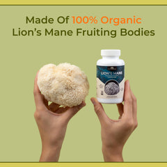 Naturealm Lion’s Mane bottle on a desk ready for daily cognitive support.