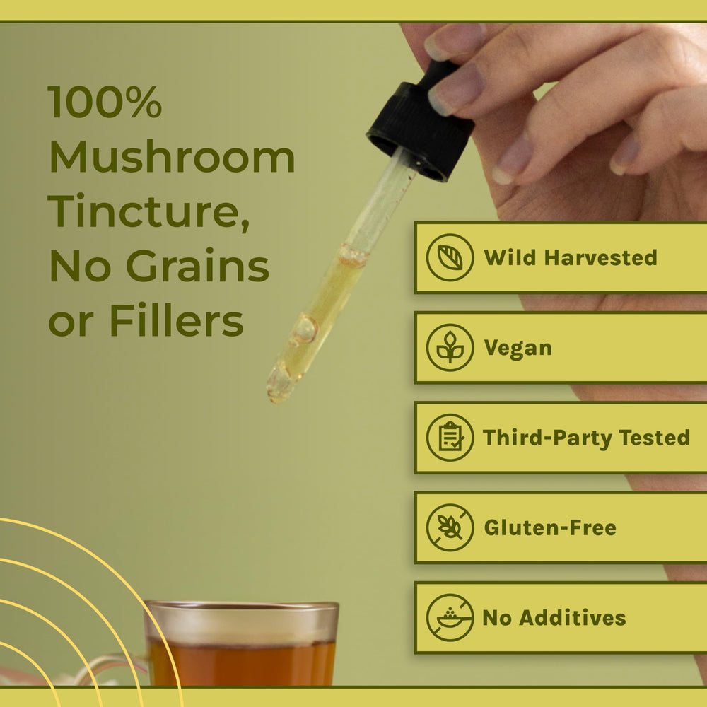 Naturealm Chaga vegan non GMO seal on packaging enhances trust