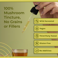 Naturealm Chaga vegan non GMO seal on packaging enhances trust