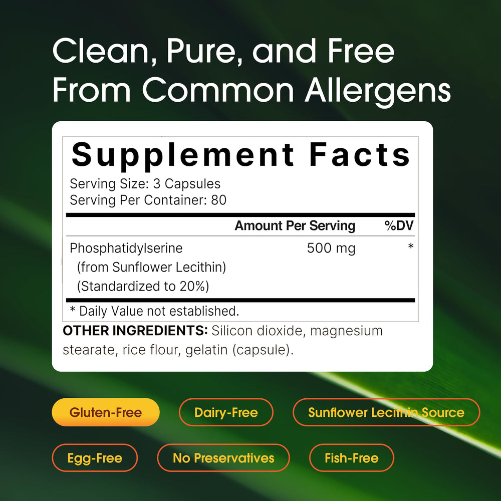 NatureBell brain health capsules ready for everyday focus and memory