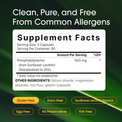 NatureBell brain health capsules ready for everyday focus and memory