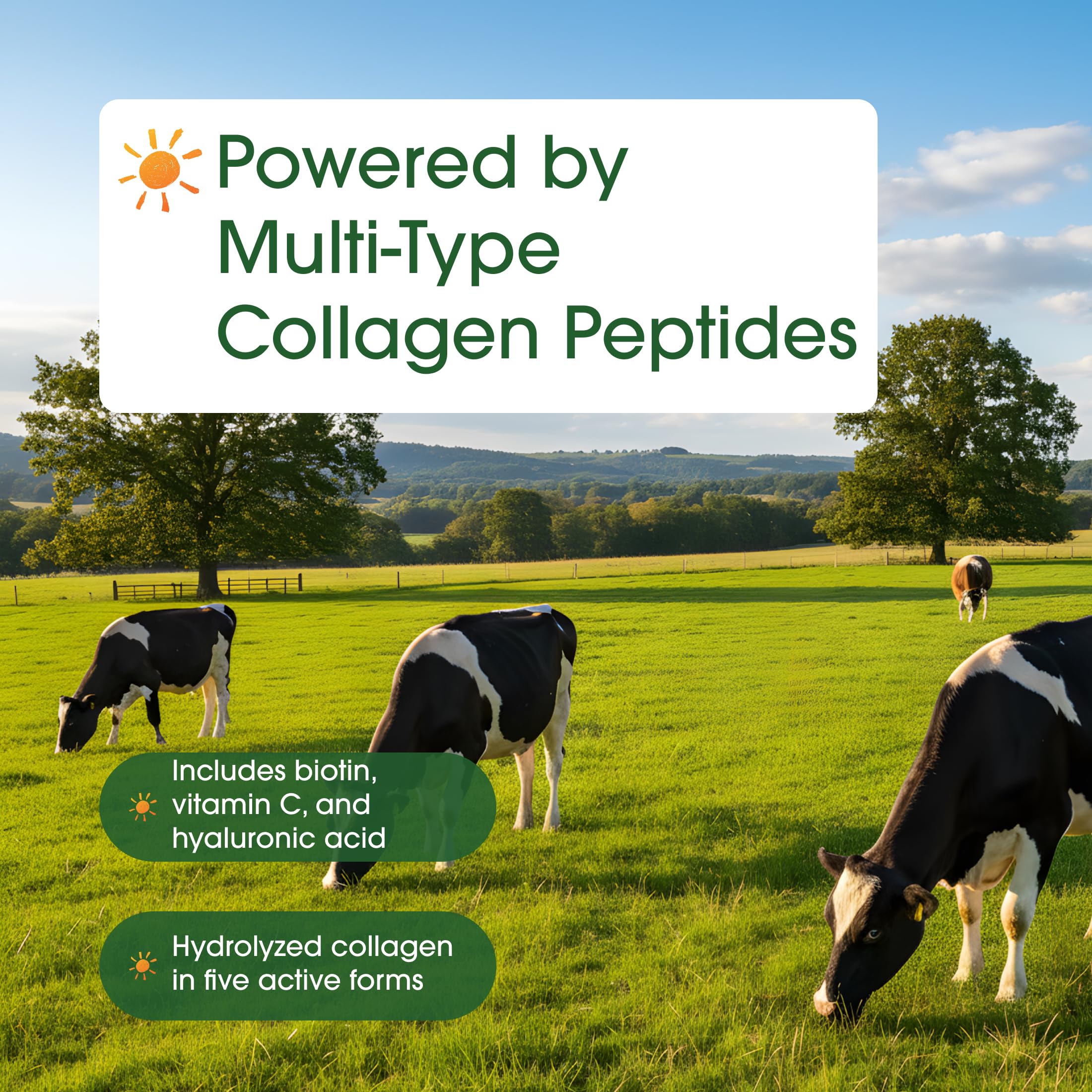 High-quality ingredients highlighted in NatureBell collagen formula for daily vitality.