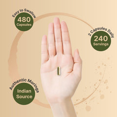 NatureBell Moringa 10:1 extract visual highlights concentrated leaf extract.