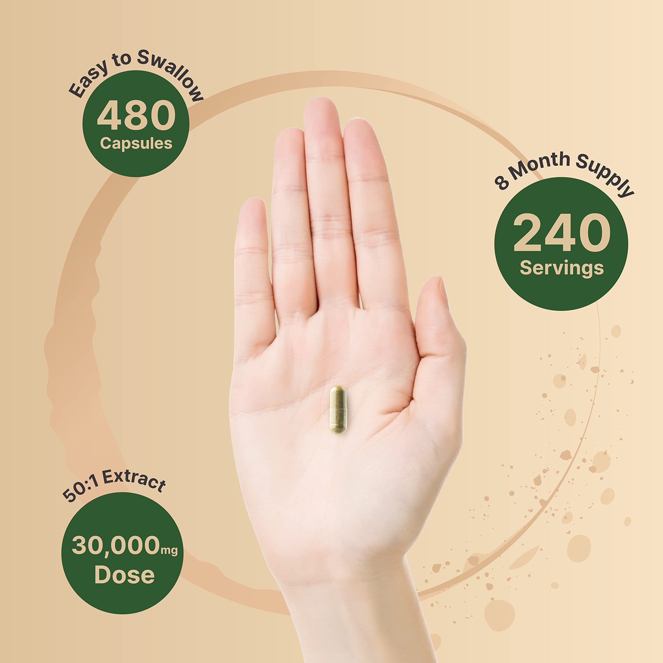 NatureBell olive leaf extract serving illustration showing 240 servings per package