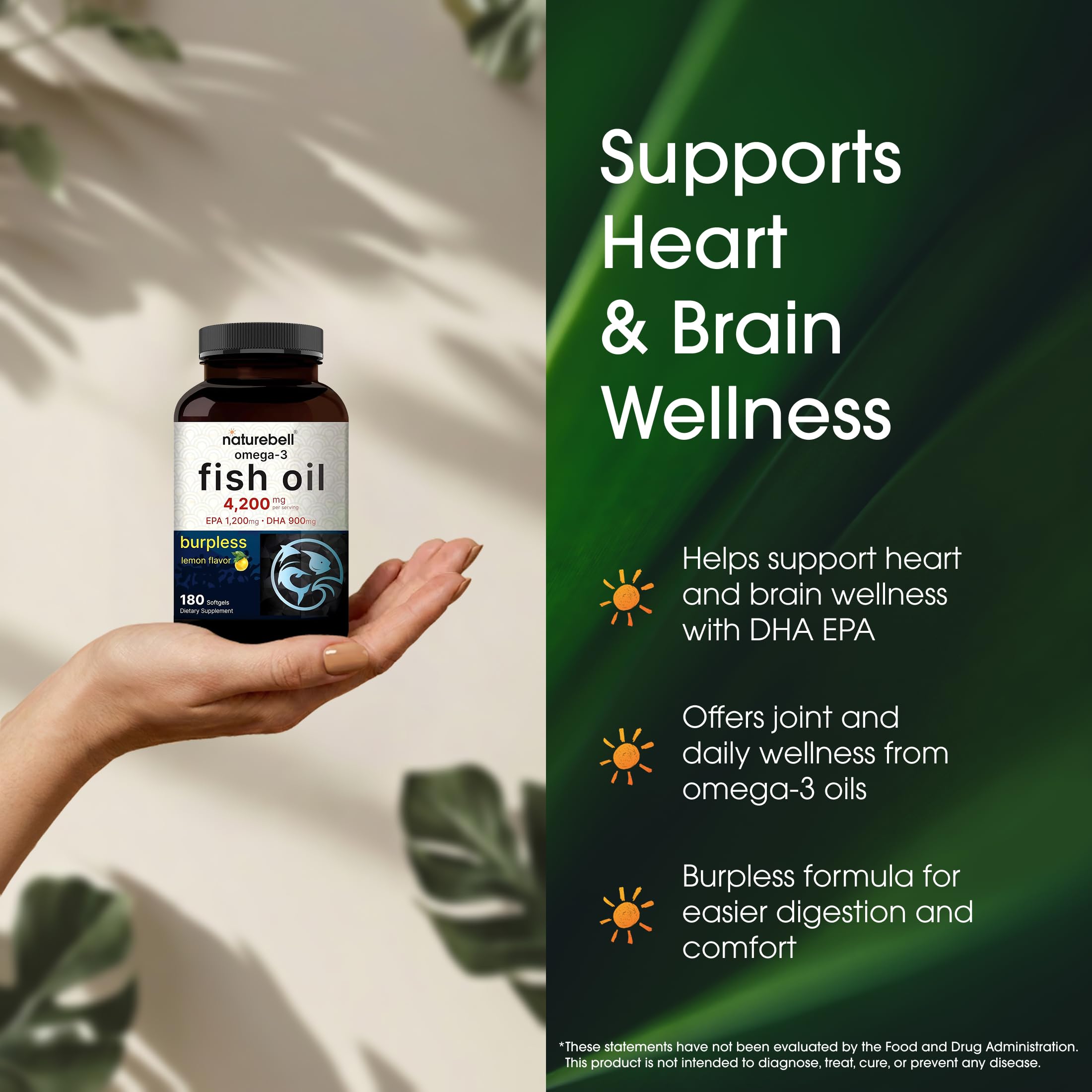 NatureBell Omega-3 wild-caught-source illustration showing mercury-free purification