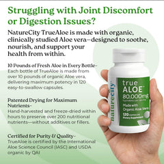 NatureCity True-Aloe production facility in New Jersey, ensuring CGMP quality.