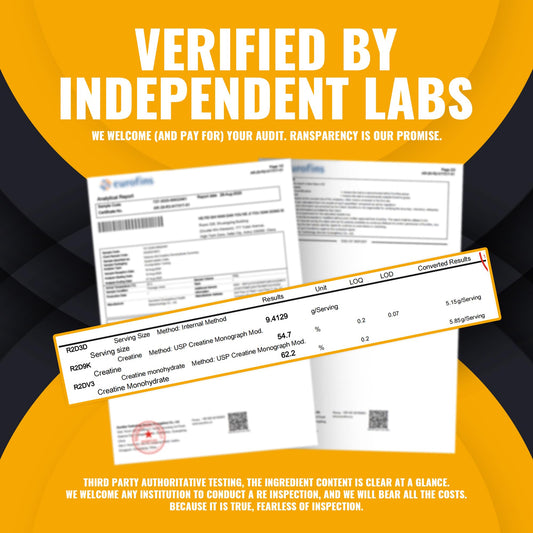 Natures Aid Creatine Gummy bottle back with ingredients and NSF certification