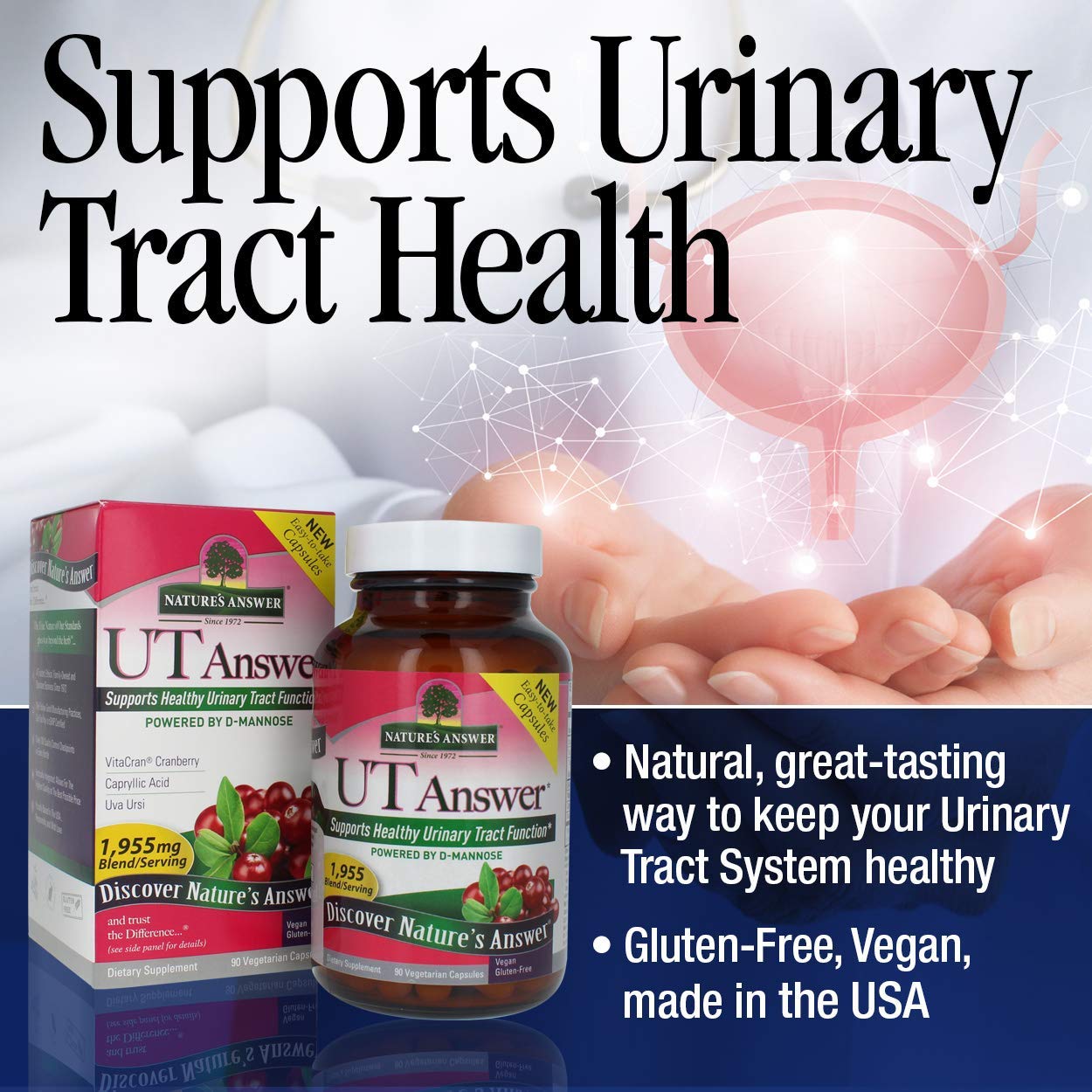 UT Answer ingredient blend featuring cranberry, D-Mannose, Vitamin C for urinary wellness.