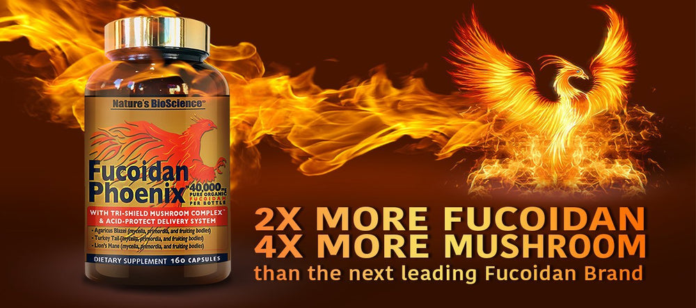 Nature's Bioscience Fucoidan Phoenix Advanced ingredients panel with organic mushrooms