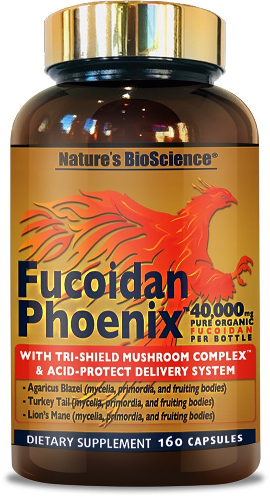 Nature's Bioscience Fucoidan Phoenix Advanced USA manufacturing icon