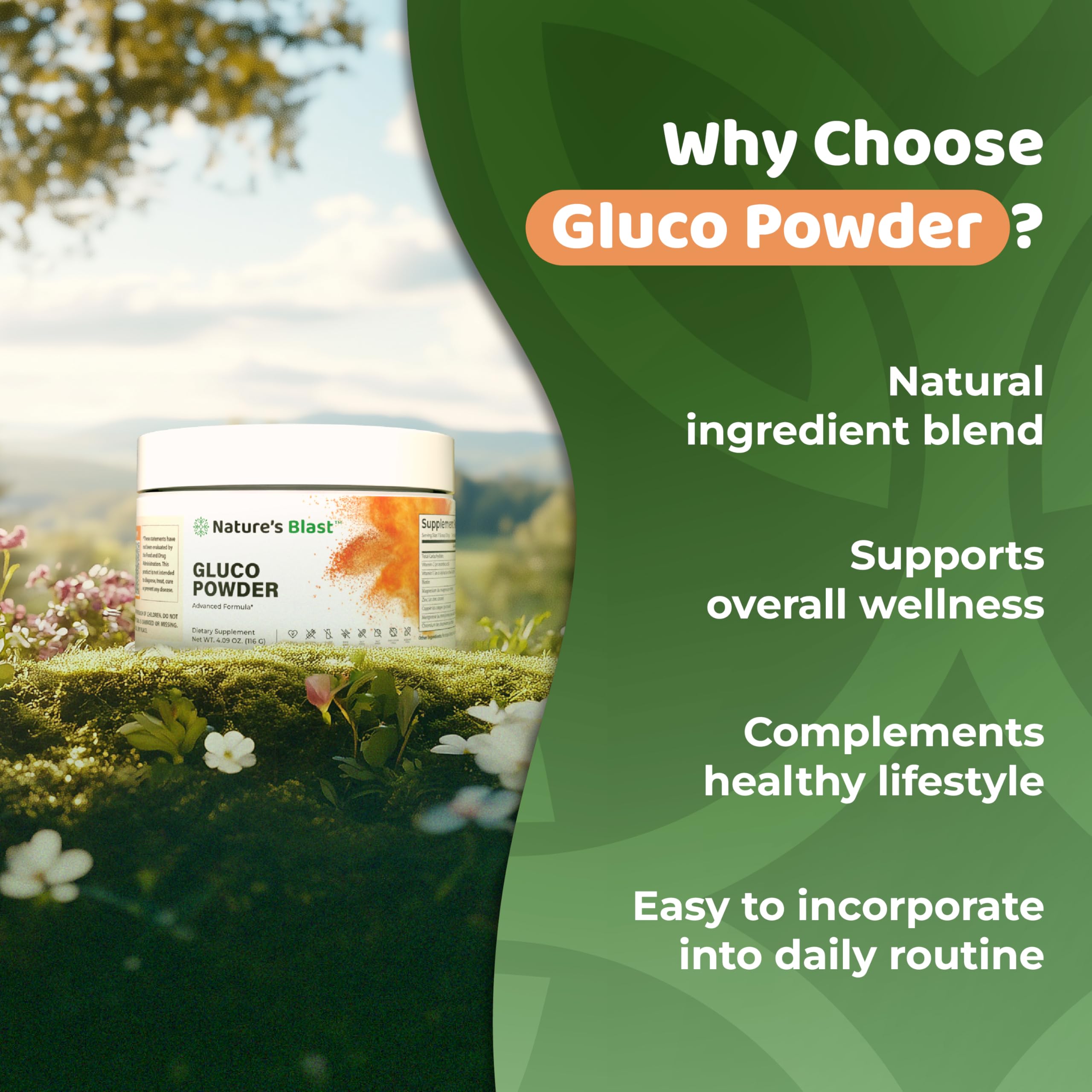 NATURES BLAST Gluco-Powder ingredients closeup with berberine and minerals.