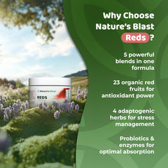 NATURES BLAST Reds packaging image highlights allergen-friendly claim.