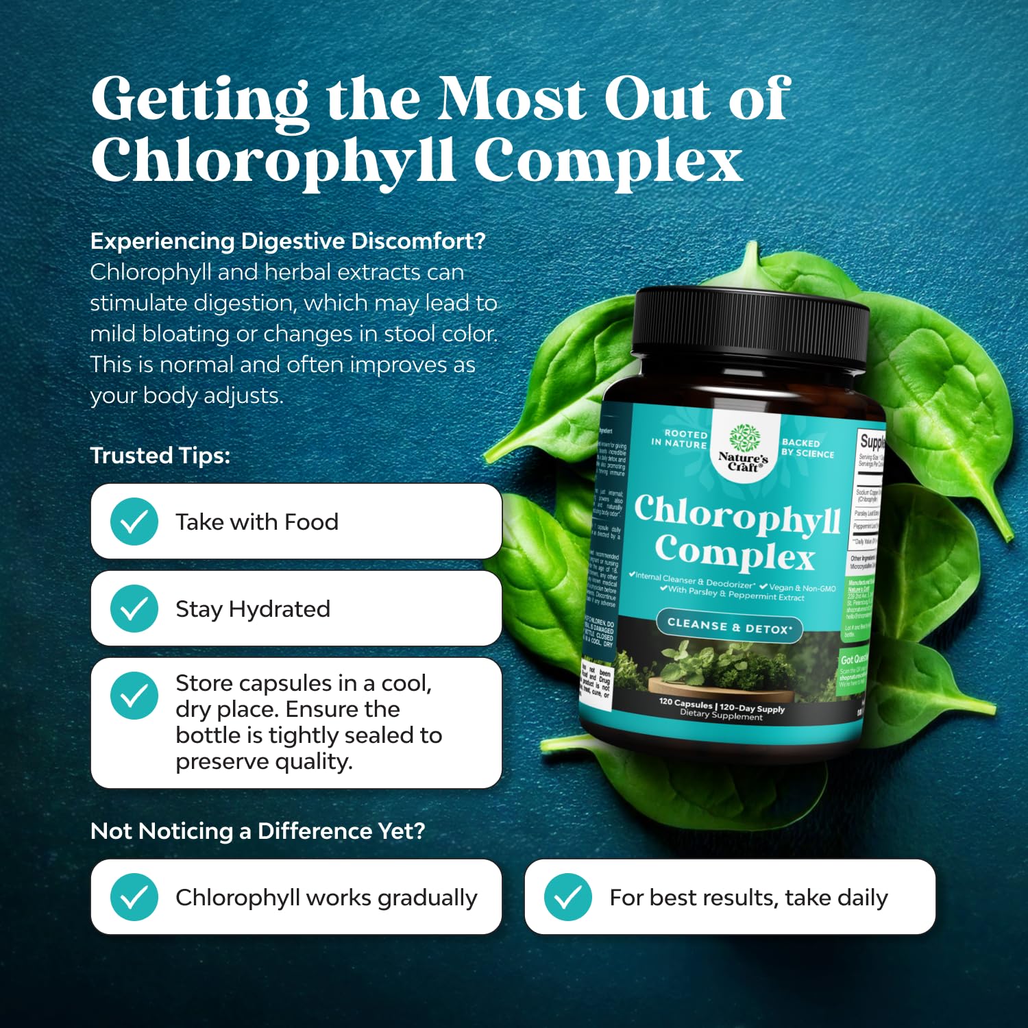 Natures Craft 120-count bottle label emphasizes gentle chlorophyll dosage for sensitive stomachs.