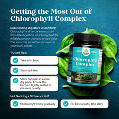 Natures Craft 120-count bottle label emphasizes gentle chlorophyll dosage for sensitive stomachs.
