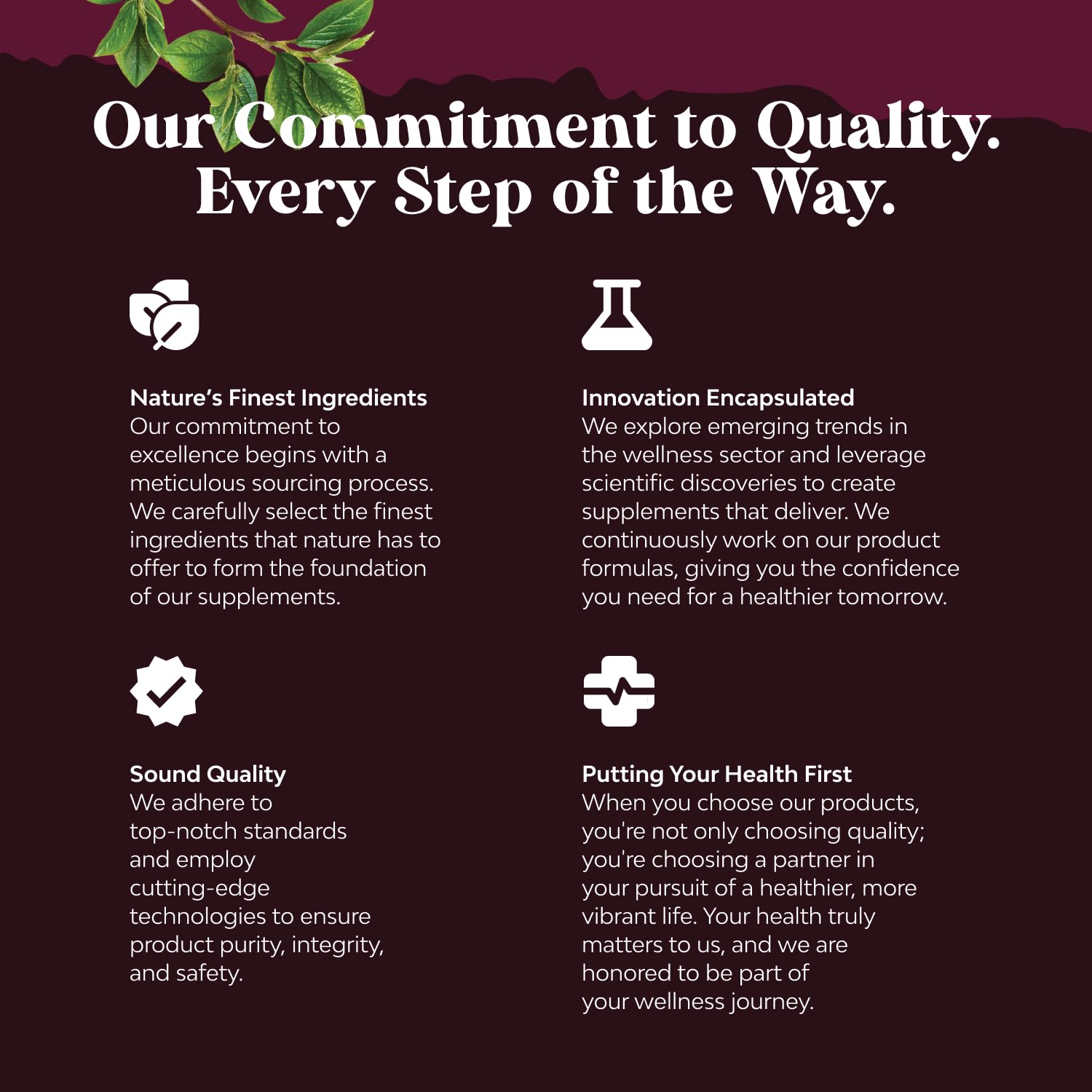 Nature's Craft astragalus and chanca piedra ingredients detail
