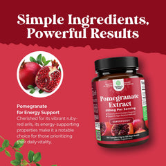 Natures Craft Brain Health Capsules in use suggesting cognitive support possibilities.