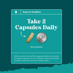 Milk thistle seed extract capsule close-up highlights silymarin richness.