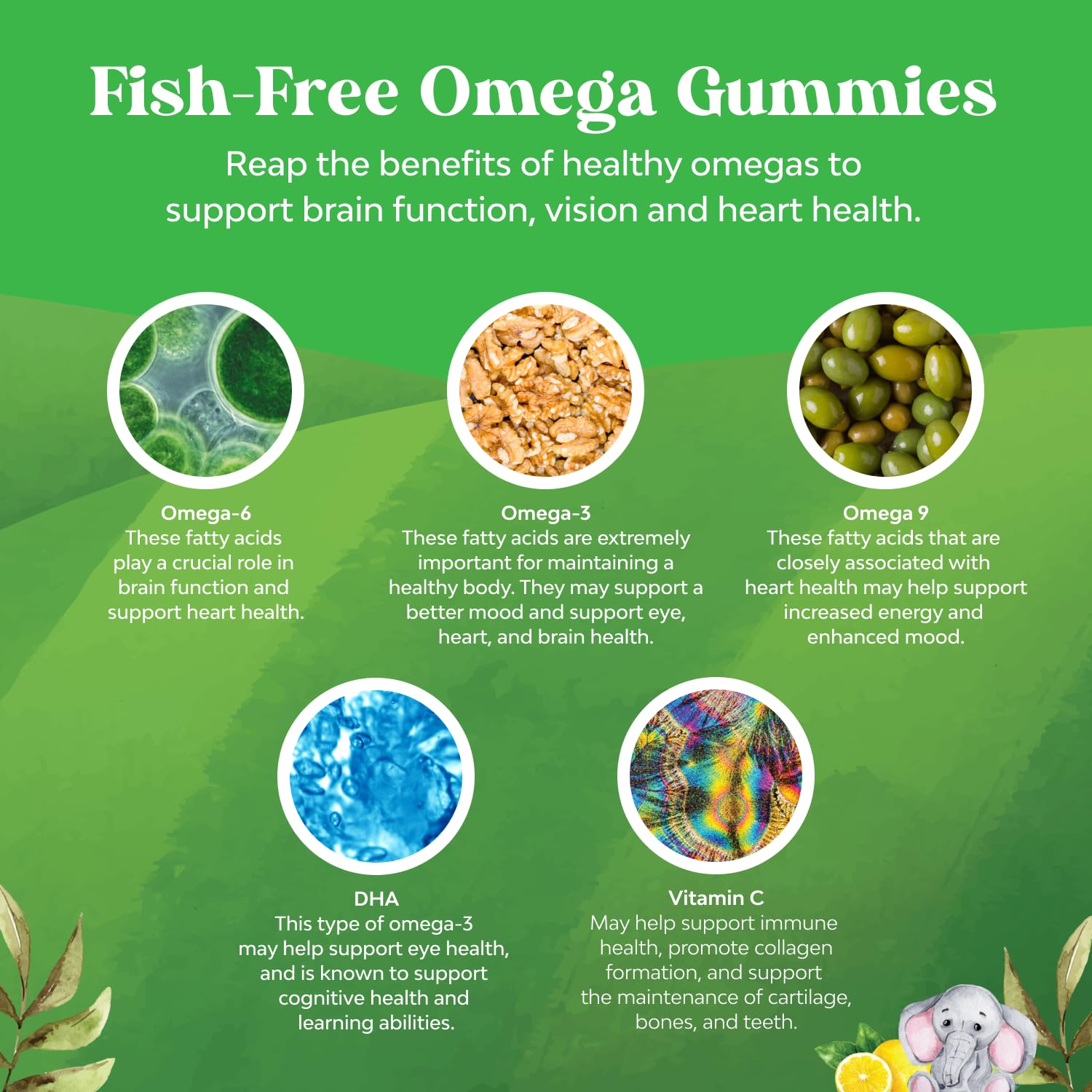 Natures Craft Omega DHA Gummies for Kids ingredients panel showing DHA and vitamin C