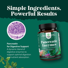 Natures Craft Pancreatin two-pack packaging on shelf