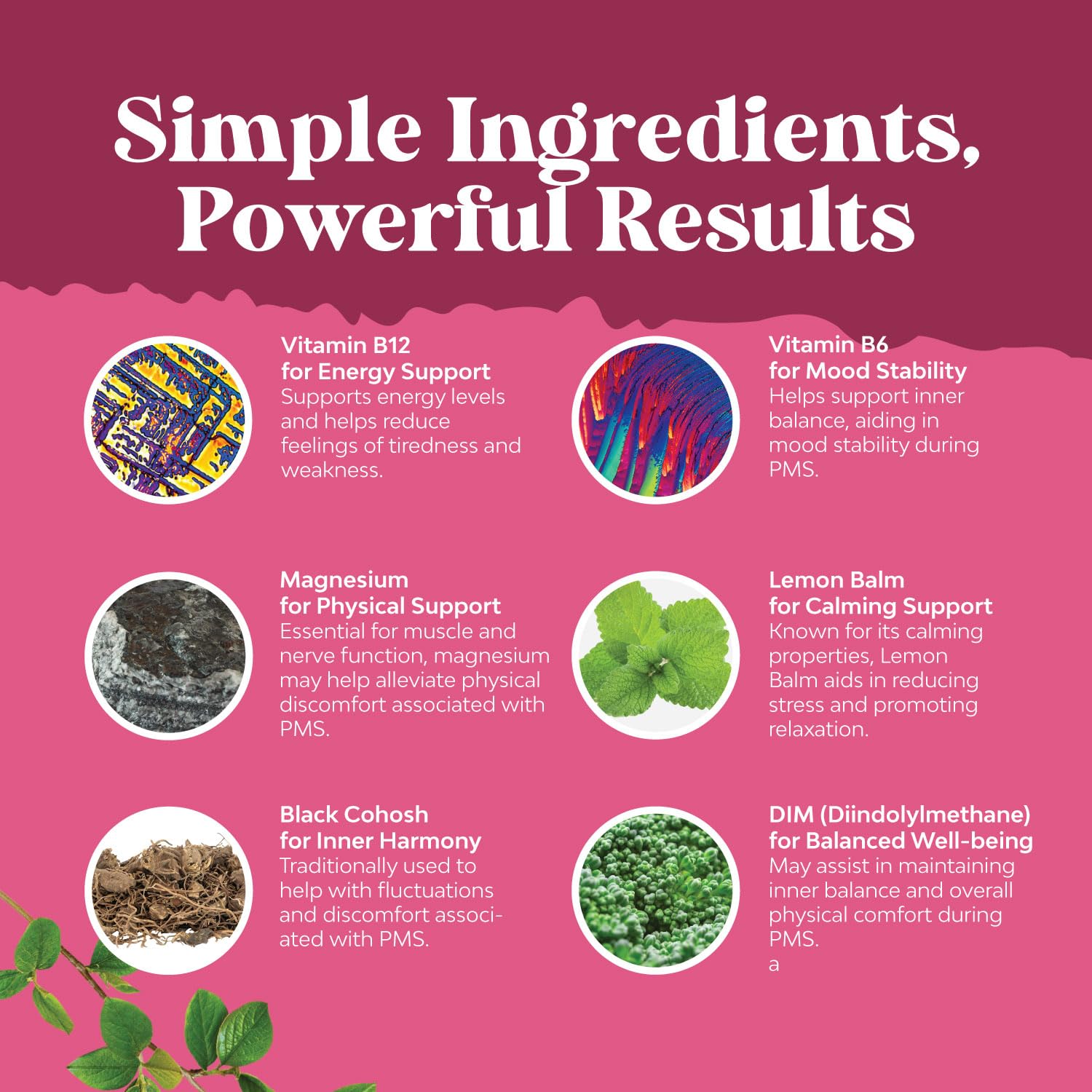 Vitamins B6 and lemon balm noted on Natures Craft PMS Support packaging.