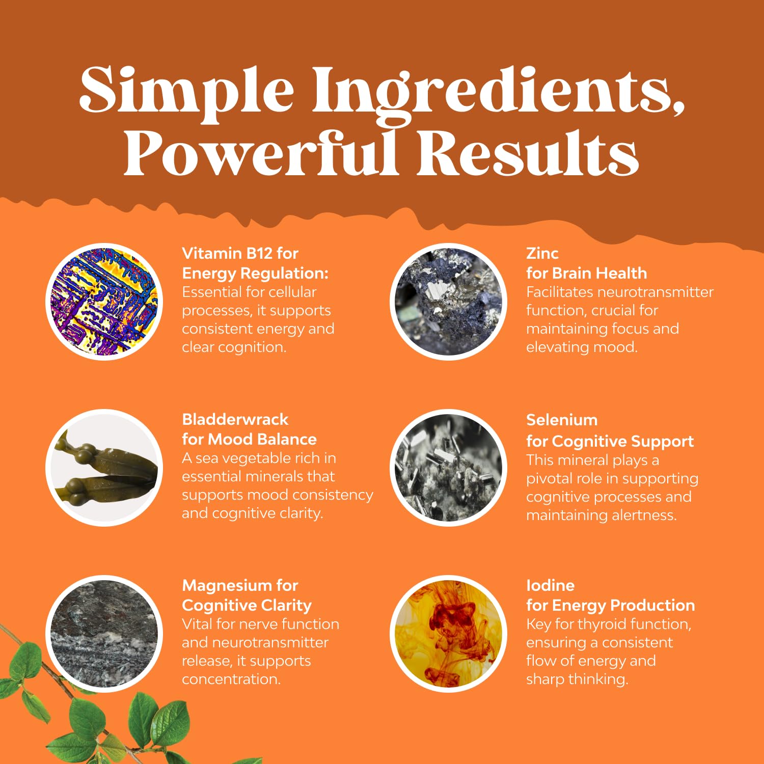 Natures Craft Schisandra berries image suggests adaptogen support for daily stamina.