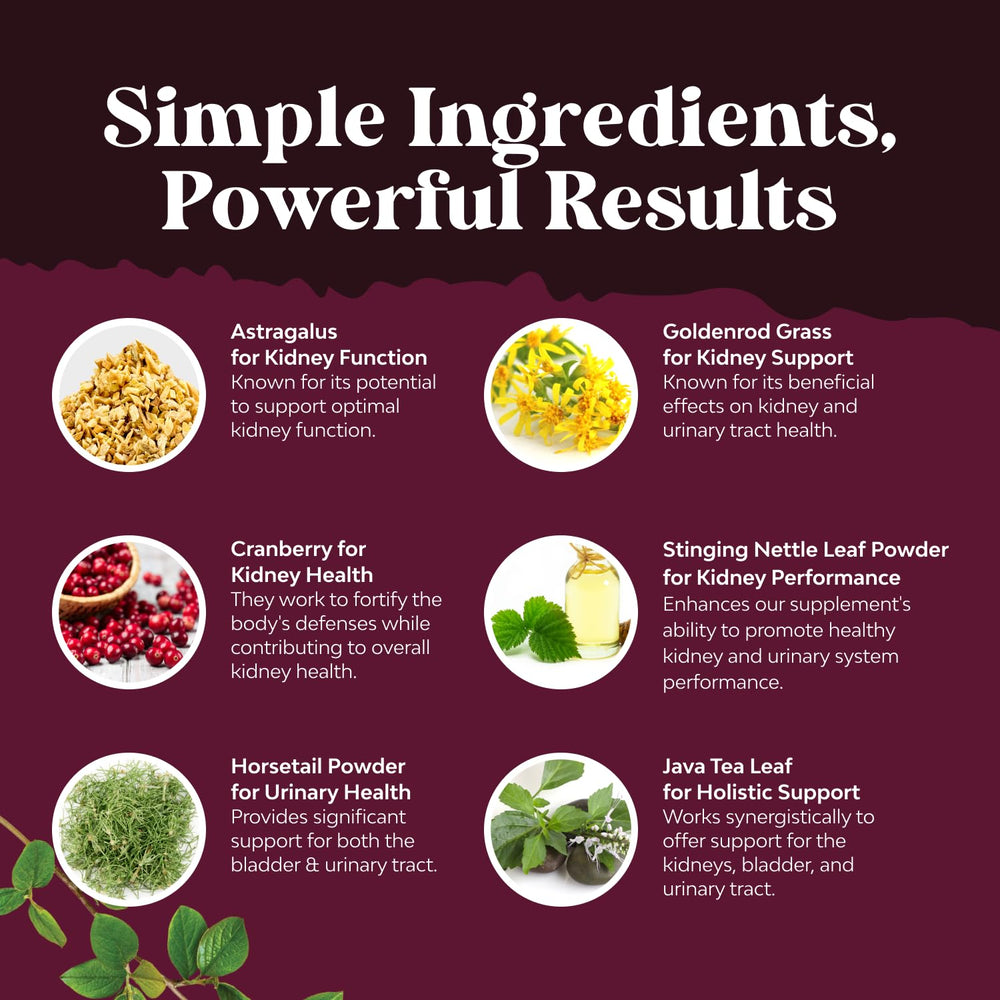 Nature's Craft stinging nettle and horsetail blend for kidney function