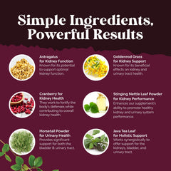 Nature's Craft stinging nettle and horsetail blend for kidney function