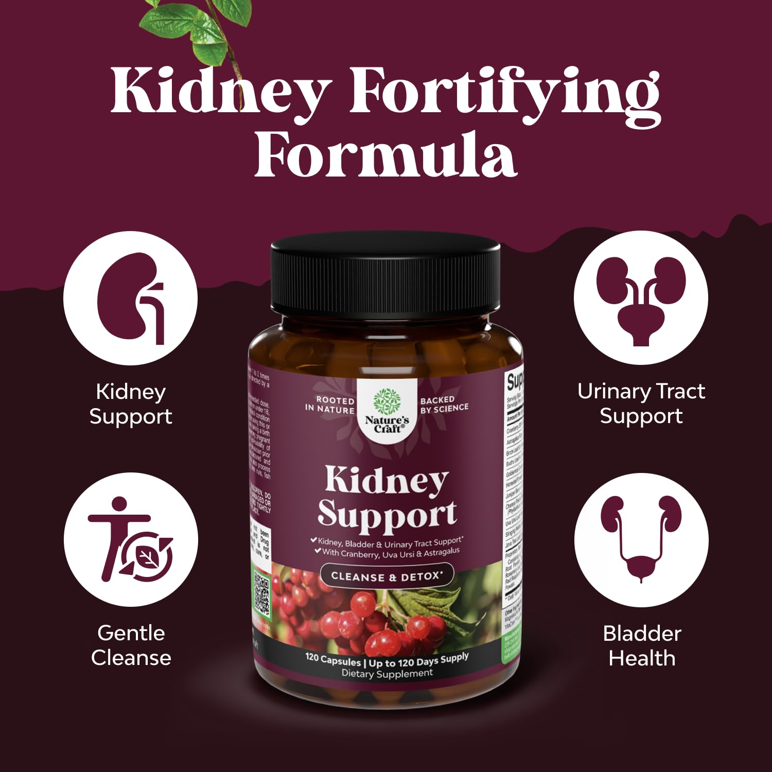 Nature's Craft uva ursi capsules aiding urinary flow and balance