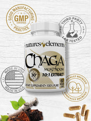 Chaga tea cup scene with earthy, woodsy aroma