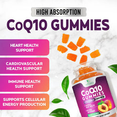 Nature's Nutrition CoQ10 Gummies vegan formula label on bottle