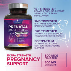Nature's Nutrition Non-GMO seal on prenatal bottle signaling clean formula