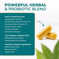 Plant-based, non-GMO, gluten-free and dairy-free formulation